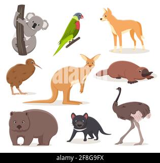 Set of funny cartoon Australian animals - emu, ostrich, koala on a branch, tasmanian devil, dingo dog, platypus, kiwi bird and wombat Stock Vector