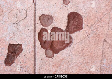 Broken floor tile detail. Construction issues. Damaged surface. Cracked Stock Photo