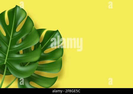 Monstera leaves on yellow background Stock Vector