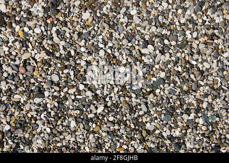 Texture of small sea pebbles for backdrop. Stock Photo