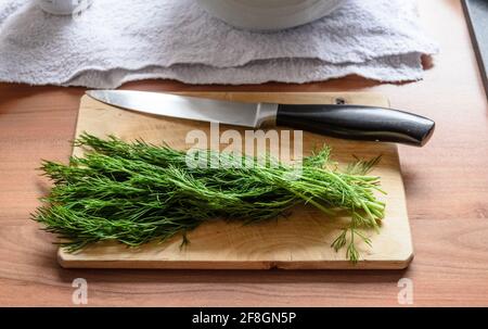 Dill (Anethum graveolens) on wooden cutting board and kitchen knife Stock Photo