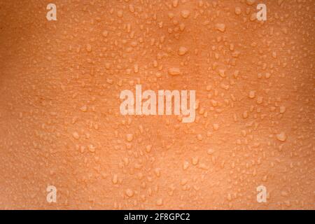 Water drops on the woman skin. Human skin and sweat. Close up of wet human skin. Stock Photo