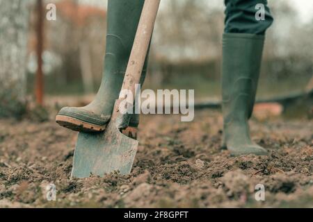 Farmer in rubber boots using spade gardening equipment in garden, low angle, selective focus Stock Photo