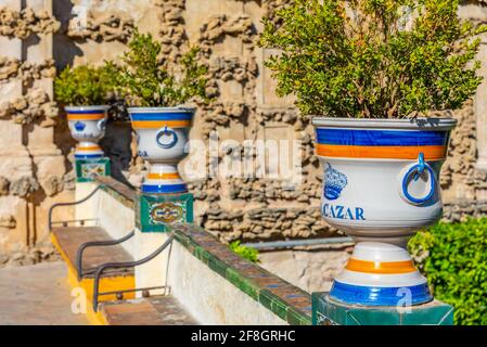 Ceramic flower pots at real Alcazar de Sevilla in Spain Stock Photo