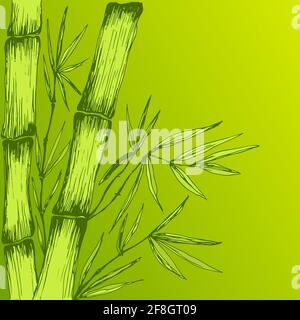 Colorful green juicy Bamboo leaves branches stem decorative frame with place for text. Stock Vector