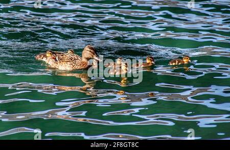 Southport credit Ian Fairbrother/Alamy Stock Photos Stock Photo