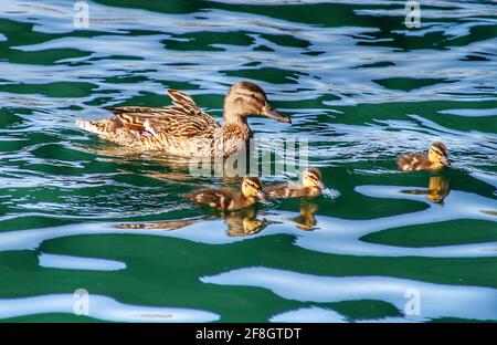 Southport credit Ian Fairbrother/Alamy Stock Photos Stock Photo