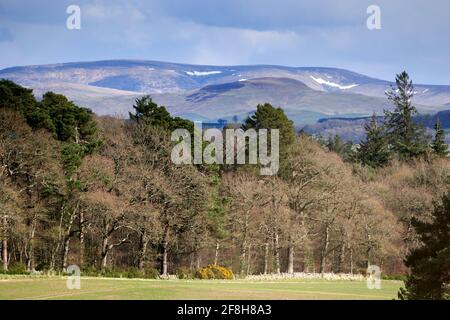 Spring view from Scotland to England. Near Harestanes looking across to The Cheviot Hills. Stock Photo