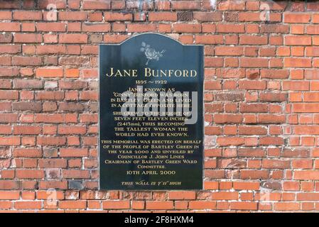 Memorial plaque on the wall of Bartley Green library,Birmingham where Jane Ginny Bunford,the tallest woman in the world,was born Stock Photo