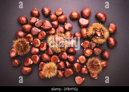 Ripe chestnuts close up. Raw Chestnuts for Christmas. Fresh sweet chestnut. Stock Photo