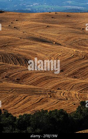 Rolling ridges of arable farmland criss-crossed by spectacular ripples left in the wheat stubble by the summer harvest in the Crete Senesi, southeast of Siena, Tuscany, Italy.  The undulating landscape here were caused by water erosion to soft clay and sand deposits left millions of years ago by a Pliocene Epoch sea.  The clay, also known as mattaione, is sometimes moulded by nature into a ‘lunar landscape’ of grey-white hillocks, mounds and cliffs, often with no topsoil or vegetation. Stock Photo