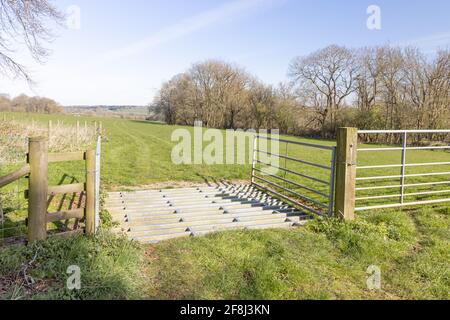Badby, Northamptonshire, UK - April 13th 2021: A metal cattle grid at the entrance to a field of pasture with tracks in the grass. Stock Photo