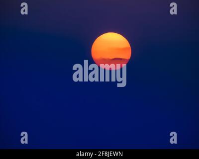 full red moon silhouette on night sky  Stock Photo