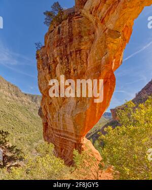 Inside the Pendley Arch at Slide Rock State Park AZ Stock Photo