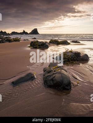 The exposed beach during low tide at Hartland Quay in the North Devon Coast National Landscape, England. Stock Photo