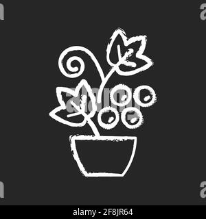 Berry shrubs and vines chalk white icon on black background Stock Vector