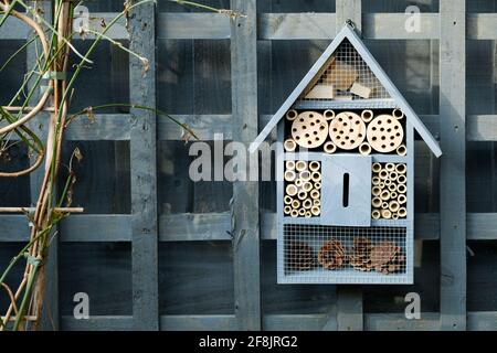 An insect hotel, or insect home or bug hotel hanging in a home garden. The man made structure provides shelter for insects including solitary bees Stock Photo