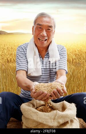 Wheat farmers with the hand holding Stock Photo