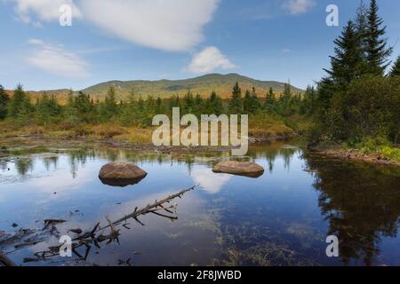 Bog Eddy (a swamp area) along Harvard Brook in Lincoln, New Hampshire during the autumn months. The view from this area is excellent. Stock Photo