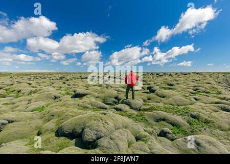 Moss covered Eldhraun lava field, biggest lava flow in the world from the Laki eruption in the late 1700s, Sudurland, South Iceland Stock Photo
