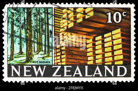 MOSCOW, RUSSIA - OCTOBER 7, 2019: Postage stamp printed in New Zealand shows Pinus Radiata, Pictorial Definitives serie, 10 c - New Zealand cent, circ Stock Photo