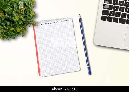 directly above view of small spiral notepad and pencil, laptop computer and potted plant on office desk Stock Photo