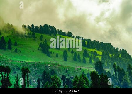 View enroute to Prashar Lake trekk trail. It is located at a height of 2730 m above sea level surrounded by lesser himalayas peaks near Mandi, Himacha Stock Photo