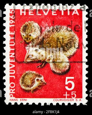 MOSCOW, RUSSIA - OCTOBER 7, 2019: Postage stamp printed in Switzerland shows European Hedgehog (Erinaceus europaeus), Pro Juventute: Wild animals seri Stock Photo