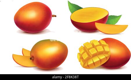 Mango whole and sliced realistic vector illustration. Bright juicy ripe tropical fruit isolated on white background. Mock up for packaging and advertising Stock Vector
