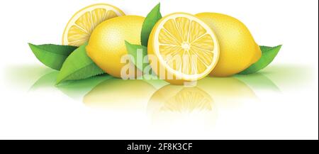Lemons isolated on white background. Fresh juicy yellow fruits cut in half and whole and green leaves, natural vegan food, ingredient for drinks, organic cosmetics. Design element for packaging. Stock Vector