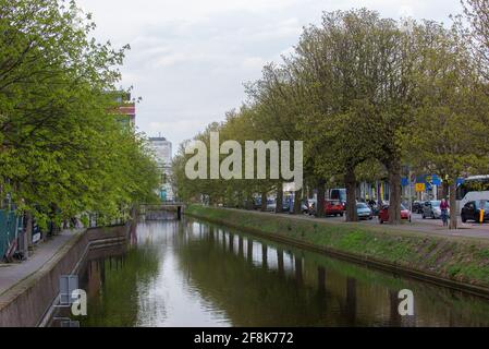 View on a town canal with horse chestnut (Aesculus hippocastanum) trees on the quayside in The Hague, Holland Stock Photo