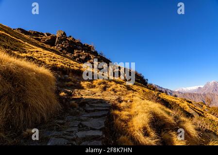 This is the view enroute to Khalia top trek trail through Himalayas autumn alpine grass landscape at Munsiyari. Khalia top is at an altitude of 3500m Stock Photo