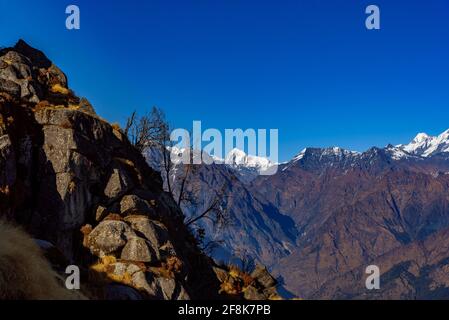 Strata of foliated homogeneous metamorphic rock derived from ...