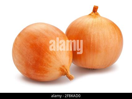 onion path isolated on white Stock Photo