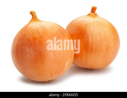 onion path isolated on white Stock Photo