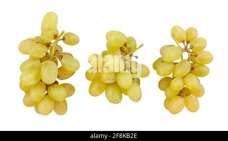 white grape path isolated on white Stock Photo