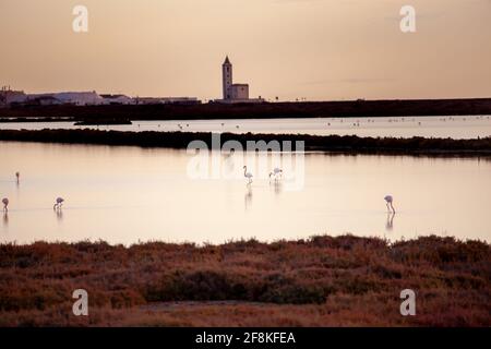 Las Salinas wetlands from Cabo de Gata with pink flamingos and the famous Church in the background