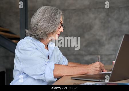 Senior businesswoman working on online webinar, e learning and messaging. Stock Photo