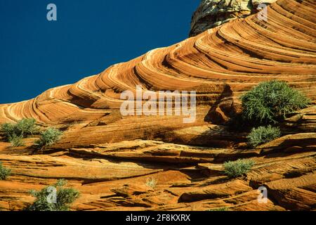 Striated patterns in the Navajo Sandstone of North Coyote Buttes, Paria Canyon-Vermilion Cliffs Wilderness, Vermilion Cliffs National Monument, Arizon Stock Photo