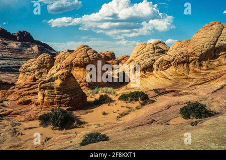 Erosion-sculpted teepees in Coyote Buttes are cross-bedded aeolian Jurassic Navajo Sandstone.  Paria Canyon-Vermillion Cliffs Wilderness Area, Vermili Stock Photo