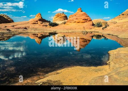 Ephemeral pools reflect the eroded sandstone formations in North Coyote Buttes, Paria Canyon-Vermilion Cliffs Wilderness, Vermilion Cliffs National Mo Stock Photo