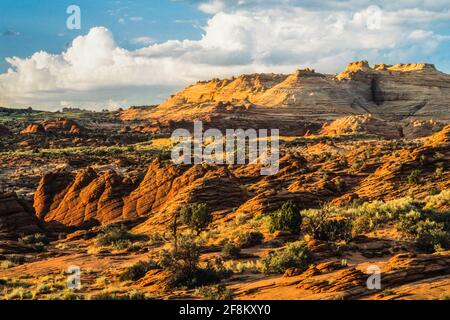 Eroded Navajo Sandstone formations in North Coyote Buttes, Paria Canyon-Vermilion Cliffs Wilderness, Vermilion Cliffs National Monument, Arizona. Stock Photo