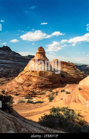 Erosion-sculpted teepees in Coyote Buttes are cross-bedded aeolian Jurassic Navajo Sandstone.  Paria Canyon-Vermillion Cliffs Wilderness Area, Vermili Stock Photo