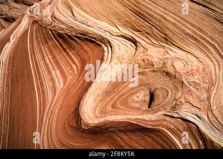 The 'Eye of the Wave' is an example of soft sediment deformation in North Coyote Buttes, Paria Canyon-Vermilion Cliffs Wilderness, Vermilion Cliffs Na Stock Photo