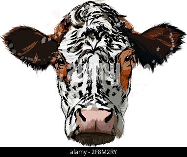 27,790 Cow Head Draw Royalty-Free Photos and Stock Images | Shutterstock