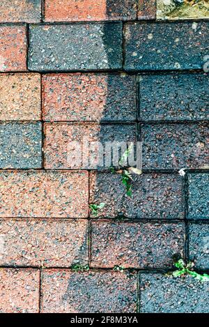 Cleaning of tiles in the garden with pressure washer Stock Photo