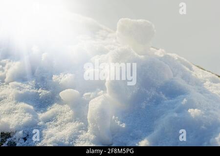 Real pretty white snow in sunny rays at happy winter morning Stock Photo