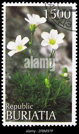 MOSCOW, RUSSIA - OCTOBER 4, 2019: Postage stamp printed in Cinderellas (Buryatia, Russia) shows Flowers, serie, circa 1997 Stock Photo