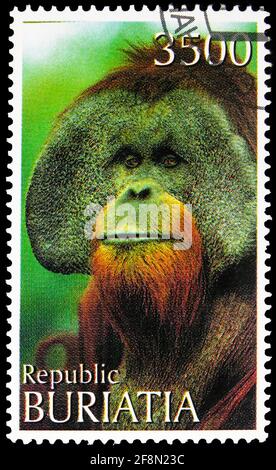 MOSCOW, RUSSIA - SEPTEMBER 30, 2019: Postage stamp printed in Cinderellas (Buryatia, Russia) shows Monkey, serie, circa 1997 Stock Photo