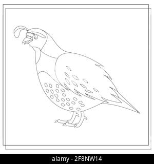 coloring book for children cartoon quail. vector isolated on a white background Stock Vector